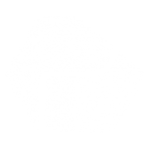 logo Polygonal bianco trasparente